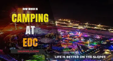 EDC Camping Costs: Budgeting for Your Electric Forest Adventure
