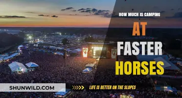 Camping Costs at Faster Horses: What to Expect for Your Festival Stay