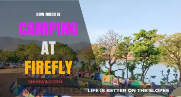 Firefly Music Festival Camping Costs: What to Expect and Budget For