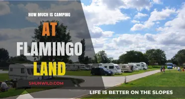 Camping at Flamingo Land: Costs, Tips, and What to Expect