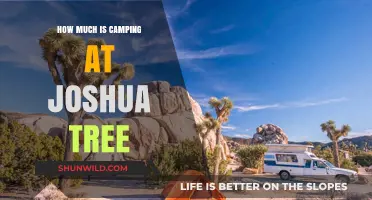 Camping Costs at Joshua Tree: Budget-Friendly Adventure Guide