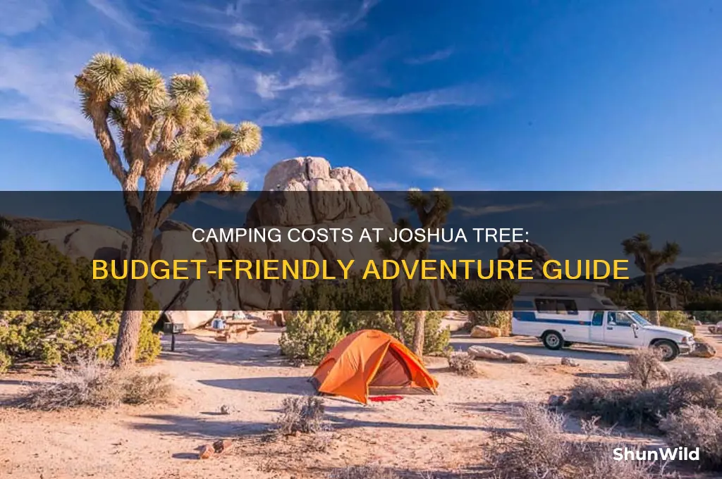 how much is camping at joshua tree