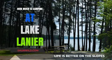 Camping at Lake Lanier: Costs, Tips, and Budget-Friendly Options