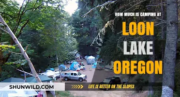 Camping at Loon Lake, Oregon: Costs and Budget-Friendly Tips