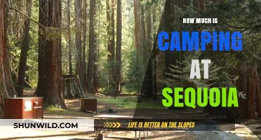 Camping Costs at Sequoia National Park: Budget-Friendly Guide