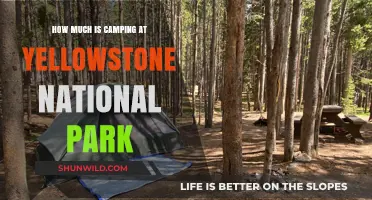 Camping Costs at Yellowstone: A Guide to Affordable Adventures