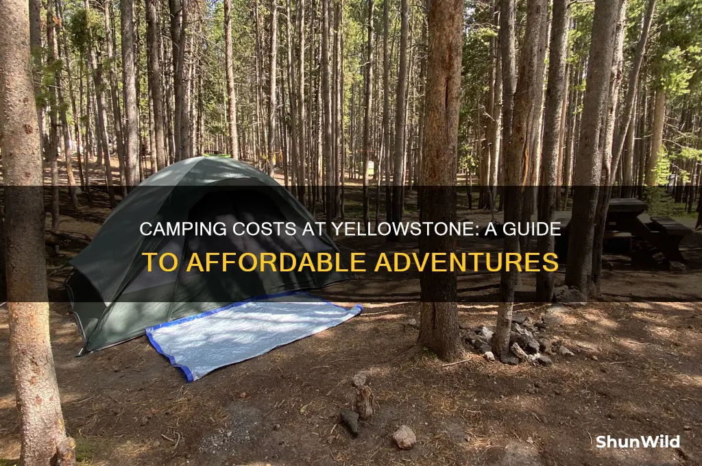 how much is camping at yellowstone national park