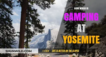 Yosemite Camping Costs: Budget-Friendly Tips for Your National Park Adventure