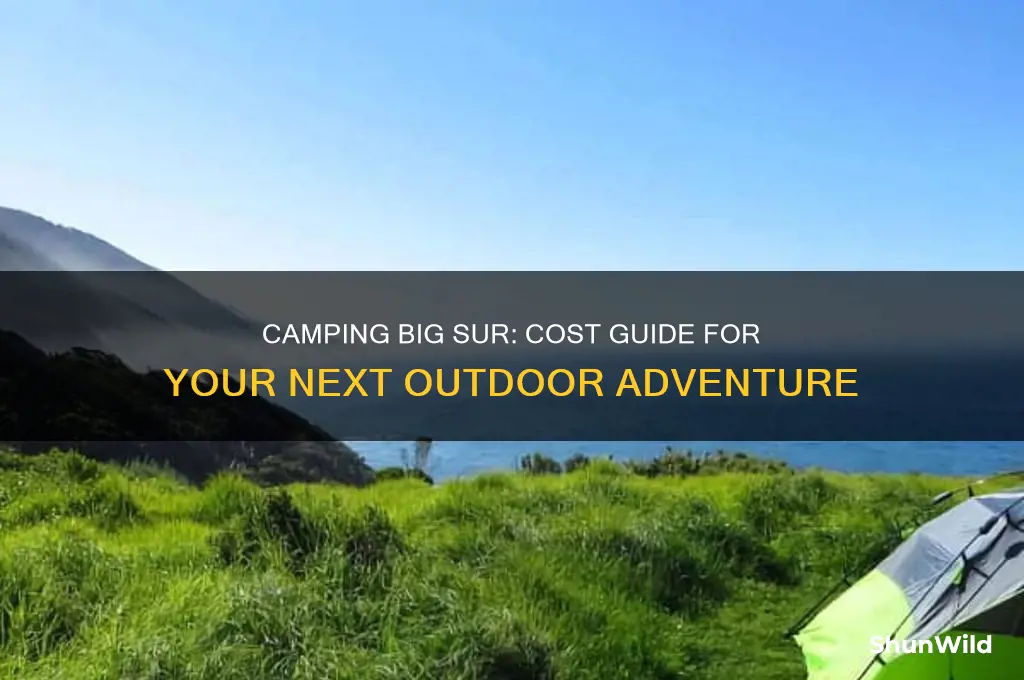 how much is camping big sur campground