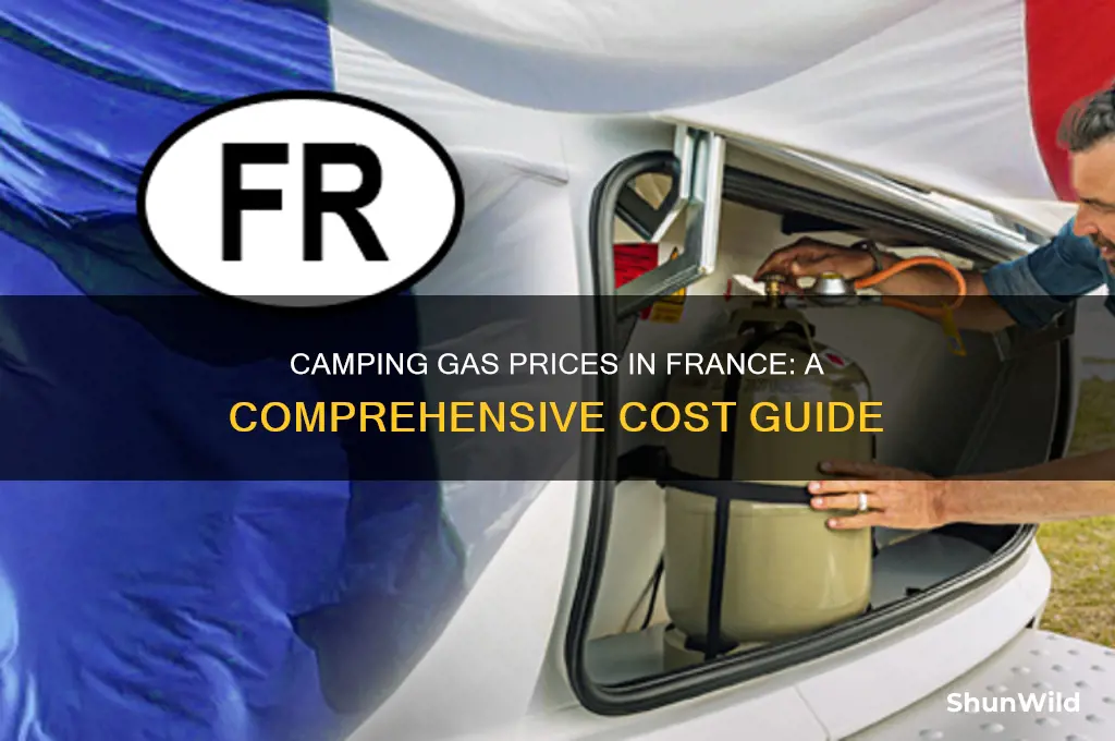 how much is camping gas in france