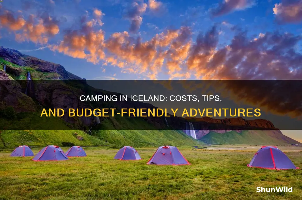 how much is camping in iceland
