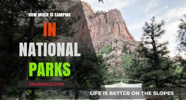 Camping Costs in National Parks: Budget-Friendly Adventure Guide