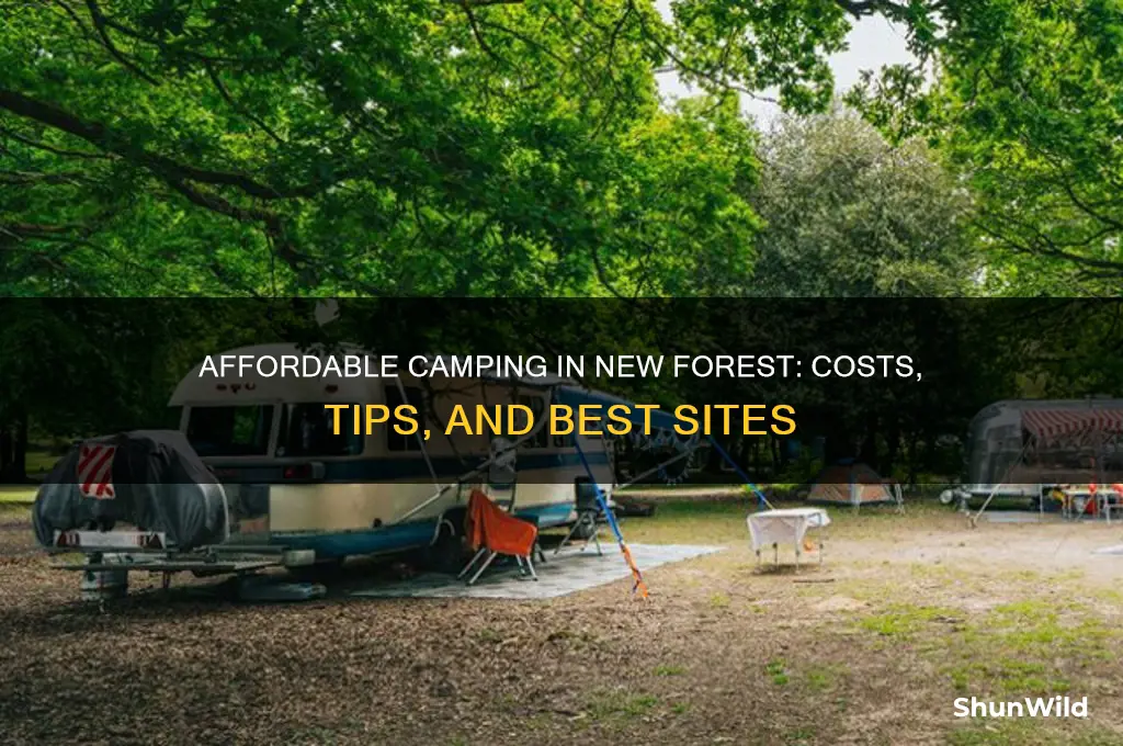 how much is camping in new forest