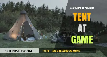 Affordable Camping Tents at Game: Prices and Best Deals Revealed