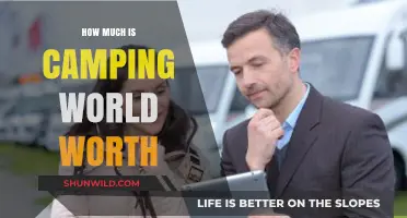 Exploring Camping World's Market Value and Financial Standing Today