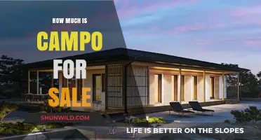 Campo for Sale: Exploring Current Prices and Market Trends