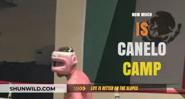 Canelo Camp Costs: Unveiling the Price Tag of Boxing's Elite Training