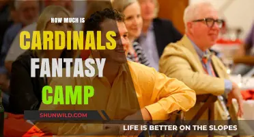 Cardinals Fantasy Camp Cost: What to Expect for Your Dream Experience