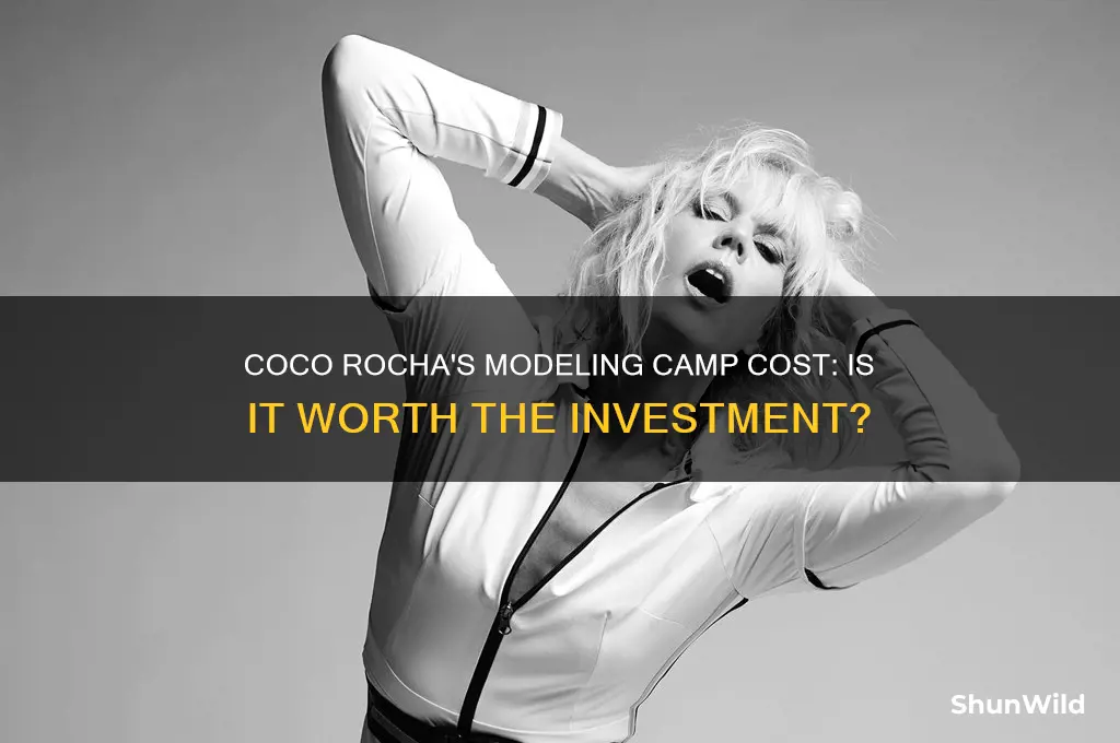 how much is coco rocha camp