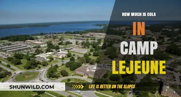 Cola Prices at Camp Lejeune: What You Need to Know
