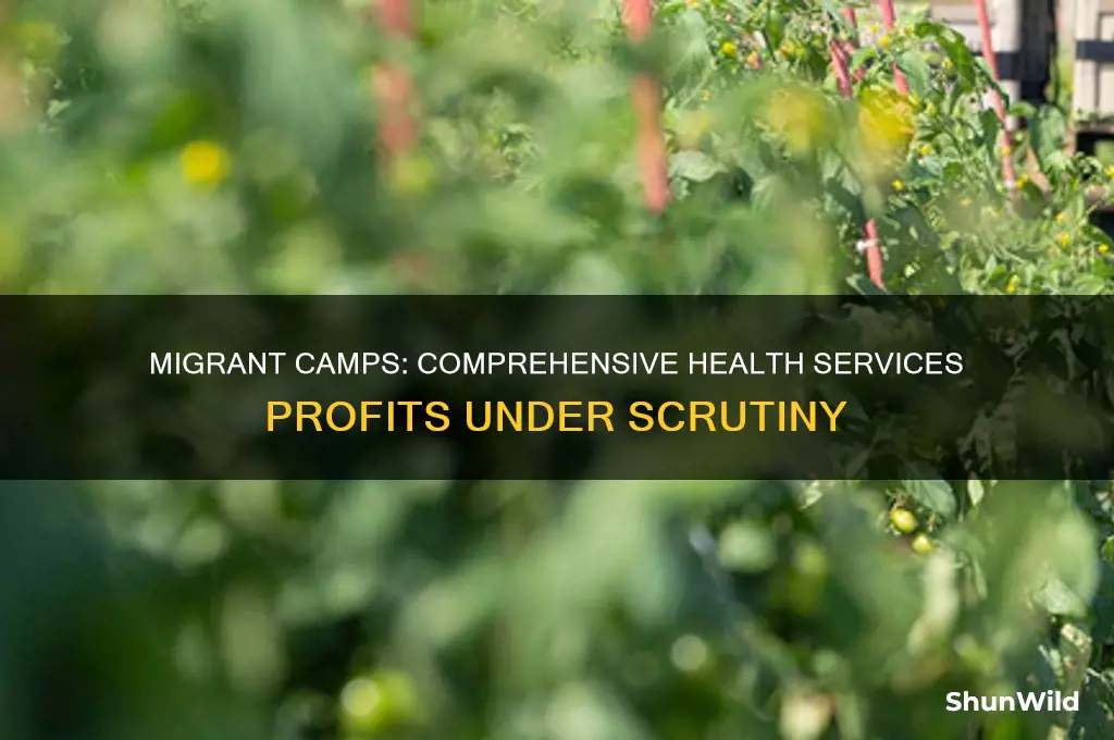 how much is comprehensive health services making on migrant camps