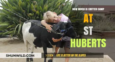 Critter Camp Costs at St. Hubert's: What to Expect
