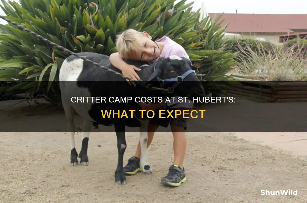 how much is critter camp at st huberts