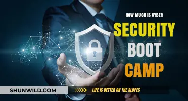 Cyber Security Boot Camp Costs: What to Expect and Budget For