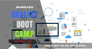 Data Analyst Boot Camp Costs: What to Expect and Budget For