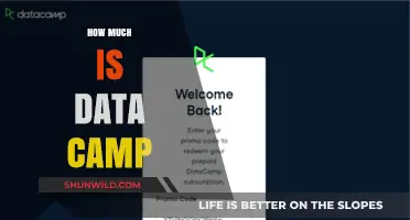 DataCamp Pricing Explained: Cost Breakdown and Subscription Plans