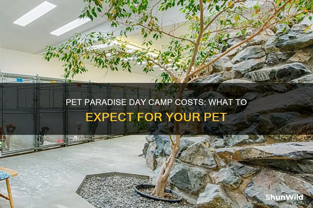 how much is day camp at pet paradise