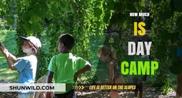 Affordable Day Camp Options: Costs and Budget-Friendly Tips for Parents