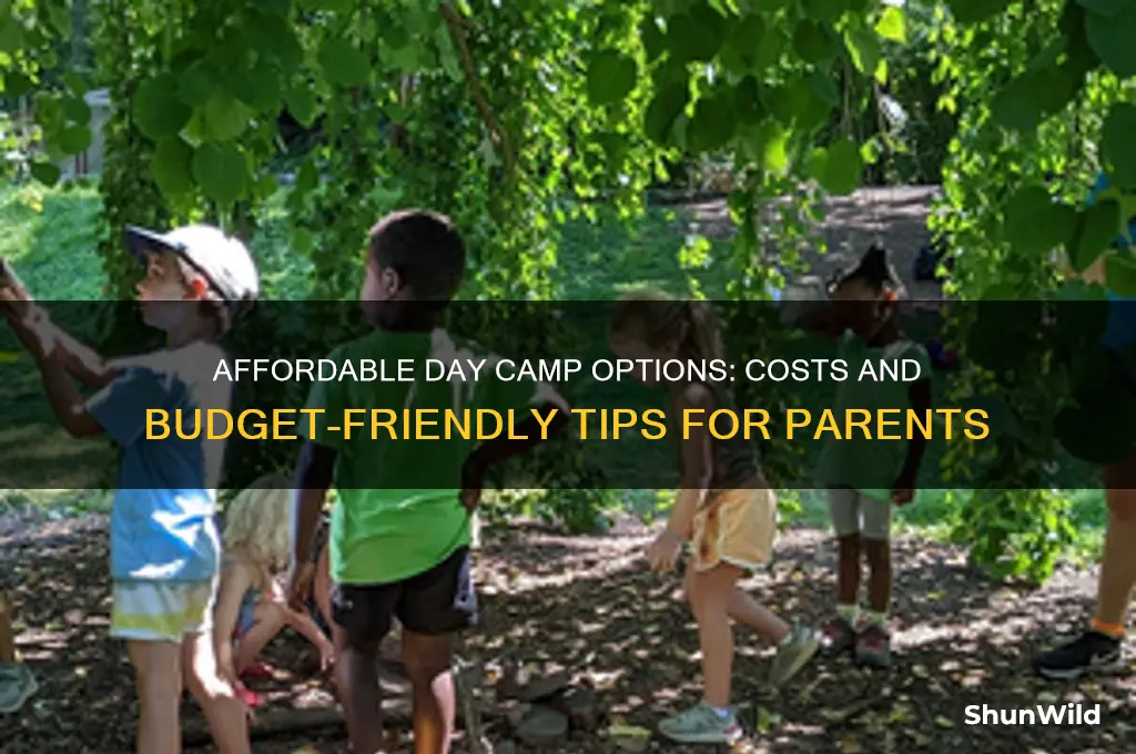 how much is day camp