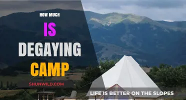 Understanding the Cost of Degaying Camp: What to Expect
