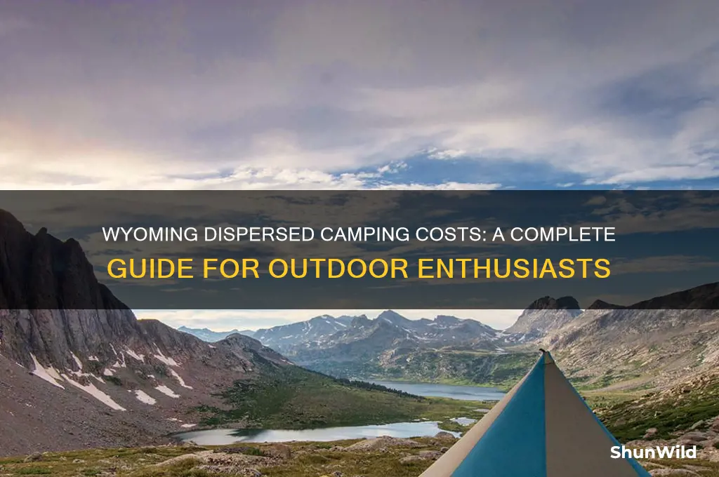 how much is dispersed camping in wyoming