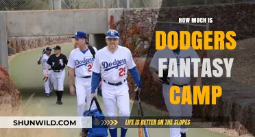 Dodgers Fantasy Camp Cost: Your Ultimate Baseball Dream Price Revealed
