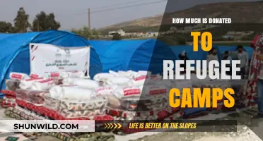 Global Refugee Camp Donations: Tracking Financial Support and Impact