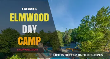 Elmwood Day Camp Cost: Affordable Summer Fun for Kids