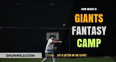 Giants Fantasy Camp Cost: Is It Worth the Price?