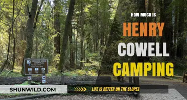 Henry Cowell Camping Costs: Budget-Friendly Tips for Your Redwood Adventure