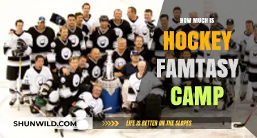 Hockey Fantasy Camp Costs: What to Expect for Your Dream Experience