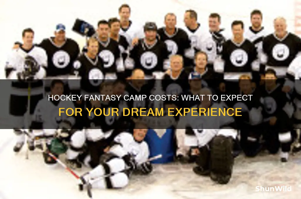 how much is hockey famtasy camp