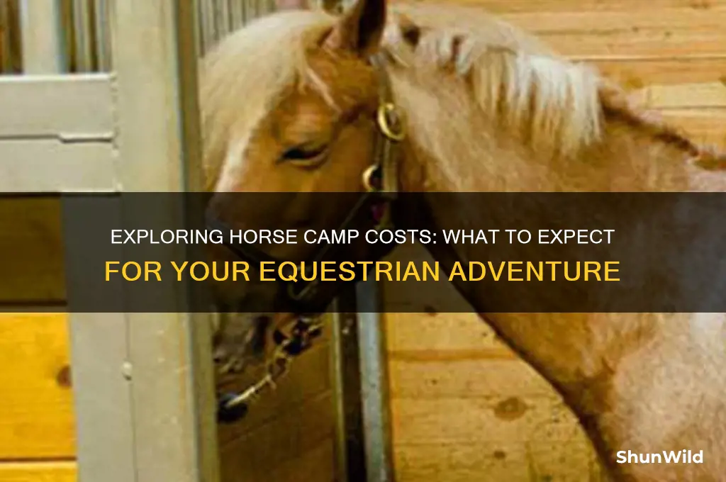 how much is horse camp