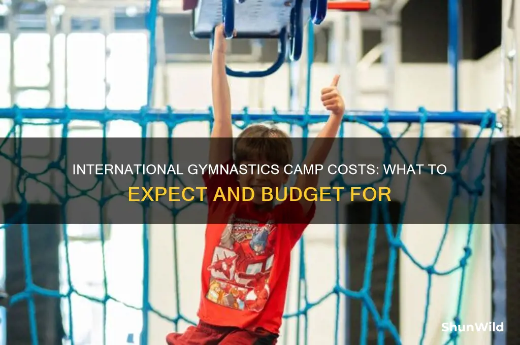 how much is international gymnastics camp