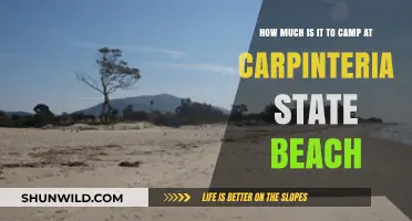 Camping Costs at Carpinteria State Beach: A Budget-Friendly Guide