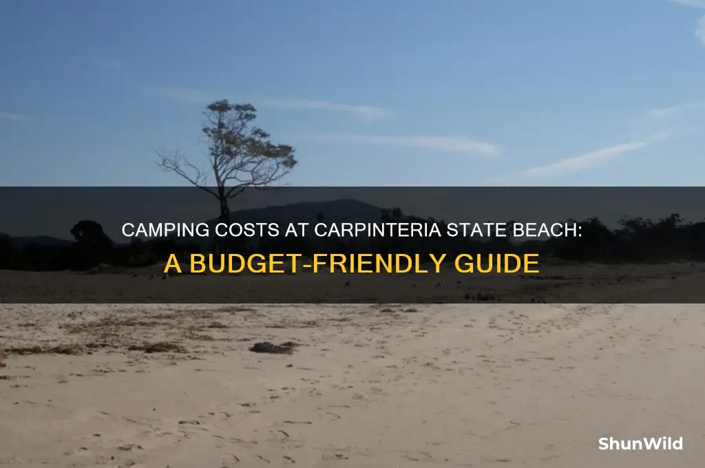 how much is it to camp at carpinteria state beach