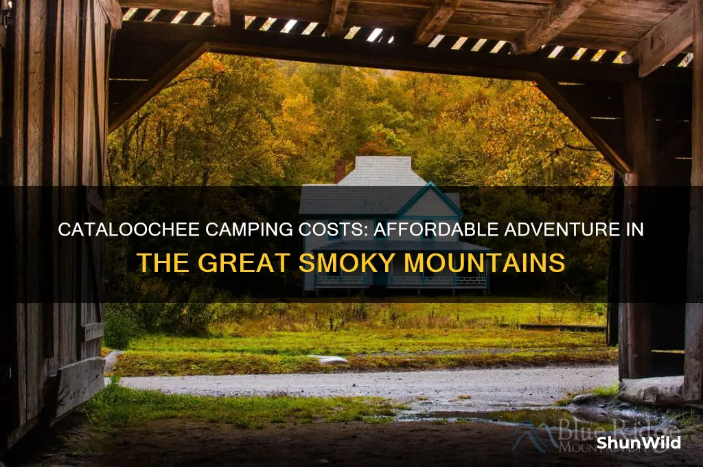 how much is it to camp at cataloochee