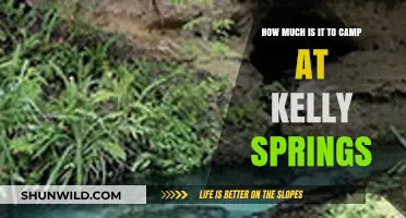 Kelly Springs Camping Costs: Affordable Adventure Awaits in Nature