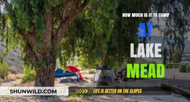 Camping at Lake Mead: Costs and Budget-Friendly Tips Revealed