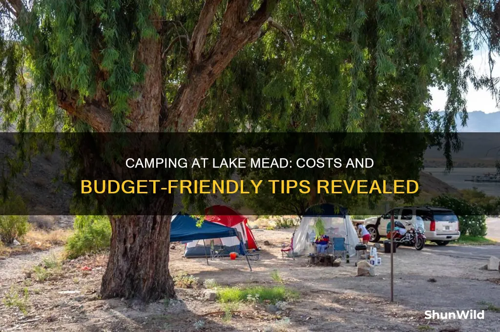 how much is it to camp at lake mead